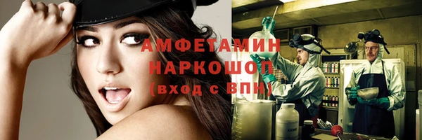 индика Аркадак
