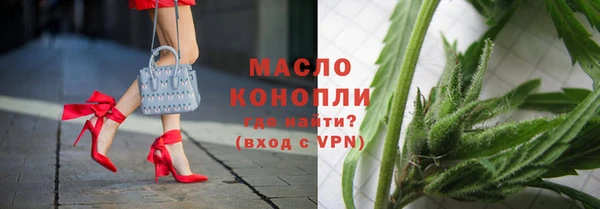 индика Аркадак