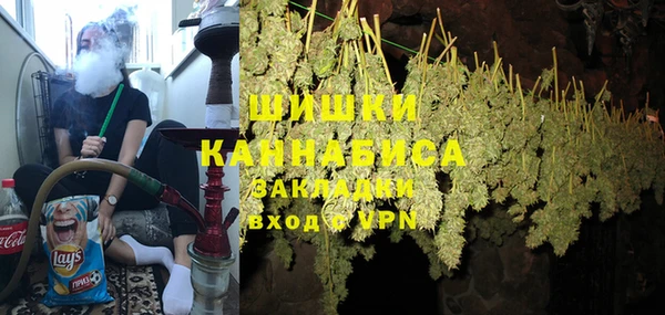 индика Аркадак