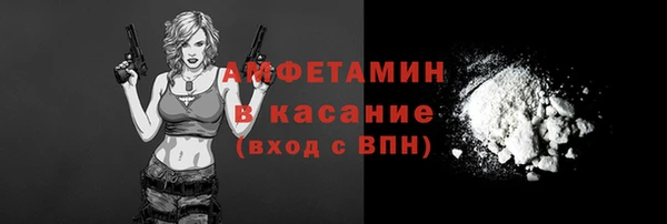 индика Аркадак