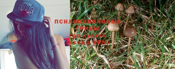 индика Аркадак